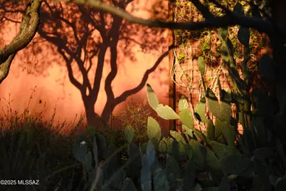 898 W Calle De Los Higos, Tucson, AZ 85745 - Photo 46