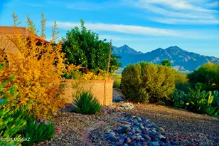 3845 S Via Del Reyecuelo, Green Valley, AZ 85622 - Photo 46