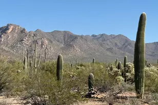 Tbd Parcel A Sandario Rd, Tucson, AZ 85743 - Photo 1