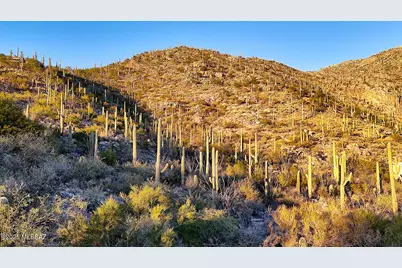 2661 Calle Sin Ruido #204, Tucson, AZ 85718 - Photo 2