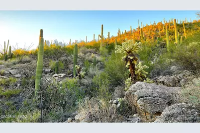 2661 Calle Sin Ruido #204, Tucson, AZ 85718 - Photo 6