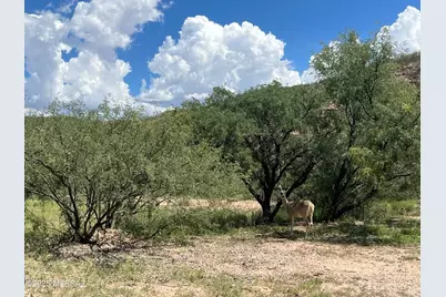 Tbd S Curtis Flats Road, Saint David, AZ 85630 - Photo 48