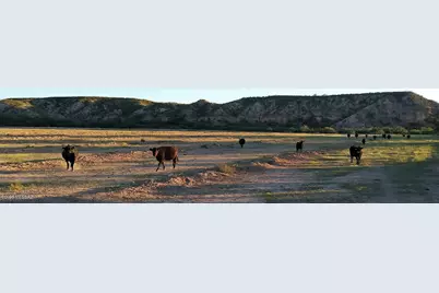 Tbd S Curtis Flats Road, Saint David, AZ 85630 - Photo 20