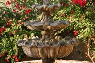 5775 N Campbell Ave, Tucson, AZ 85718 - Photo 30