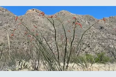 1555 Via San Cayetano #33, Rio Rico, AZ 85648 - Photo 4