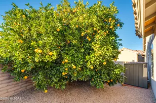 2682 E Glen Canyon Rd, Green Valley, AZ 85614 - Photo 48