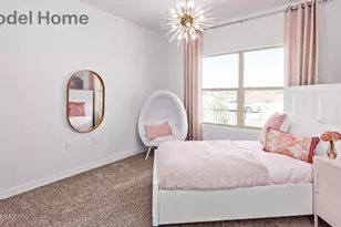 461 W Camino del Toro, Vail, AZ 85641 - Photo 30