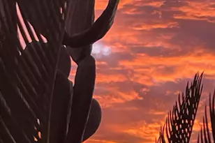 10158 E Fairway Heights Pl, Tucson, AZ 85749 - Photo 38