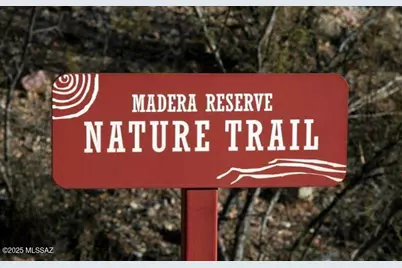 1032 E Cave Canyon Place, Green Valley, AZ 85614 - Photo 48