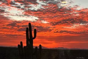 8491 S Pistol Hill Rd, Vail, AZ 85641 - Photo 46