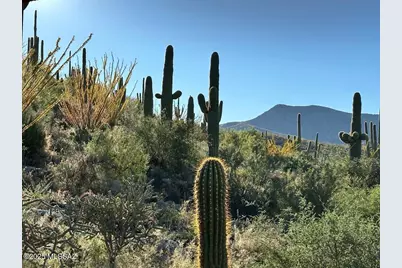 8491 S Pistol Hill Road, Vail, AZ 85641 - Photo 4