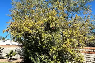 7525 S Avenida De Belleza, Tucson, AZ 85747 - Photo 12