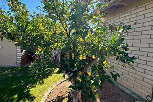 7525 S Avenida De Belleza, Tucson, AZ 85747 - Photo 6