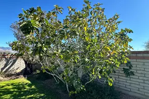 7525 S Avenida De Belleza, Tucson, AZ 85747 - Photo 10