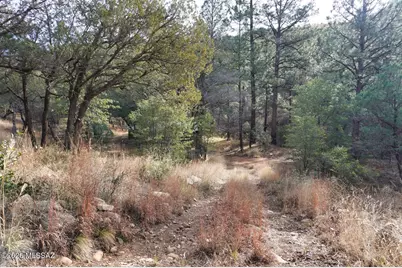 13223 E Turkey Creek Road, Pearce, AZ 85625 - Photo 40