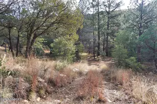 13223 E Turkey Creek Rd, Pearce, AZ 85625 - Photo 40