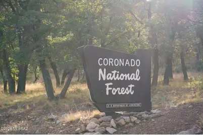 13223 E Turkey Creek Road, Pearce, AZ 85625 - Photo 2