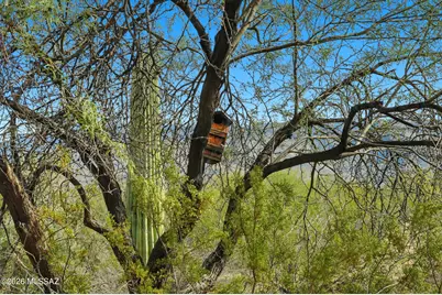 11720 E Twin Hills Trail, Tucson, AZ 85748 - Photo 24