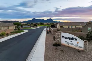 9171 W Senita Bloom Way, Marana, AZ 85653 - Photo 44