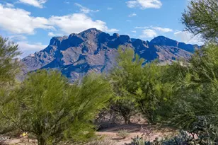 1728 W Dalehaven Cir, Tucson, AZ 85704 - Photo 4