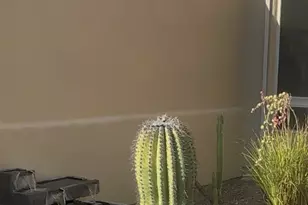 1775 E Placita De La Olla, Oro Valley, AZ 85737 - Photo 46