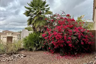 5115 N Pinnacle Point Dr, Tucson, AZ 85749 - Photo 24