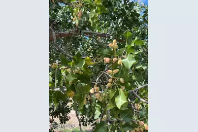 1144 W Edwards Lane, Benson, AZ 85602 - Photo 26