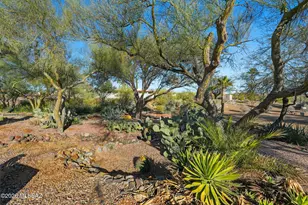 1070 W Calle Excelso, Green Valley, AZ 85614 - Photo 40