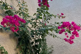 123 Avenida Urrutia, Tubac, AZ 85646 - Photo 34