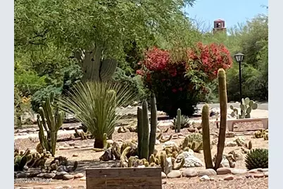 445 S Paseo Quinta #A, Green Valley, AZ 85614 - Photo 26