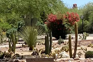 445 S Paseo Quinta, Green Valley, AZ 85614 - Photo 26