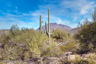 3274 S Feldspar Ave, Tucson, AZ 85735 - Photo 8