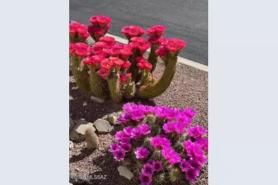 3274 S Feldspar Avenue, Tucson, AZ 85735 - Photo 40