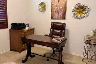 8142 S Camino SERPE, Tucson, AZ 85747 - Photo 42