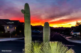63696 E Whispering Tree Ln, Saddlebrooke, AZ 85739 - Photo 50