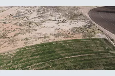 10.0 Acres Thompson Road #D, Elfrida, AZ 85610 - Photo 10