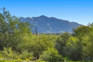 2290 W Catalpa Rd, Tucson, AZ 85742 - Photo 38