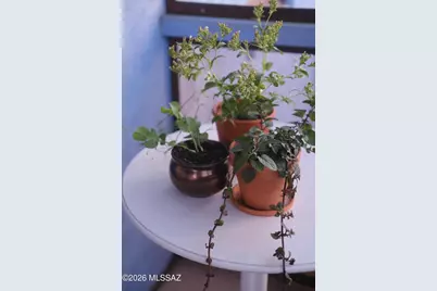 825 S Osborne Avenue, Tucson, AZ 85701 - Photo 26