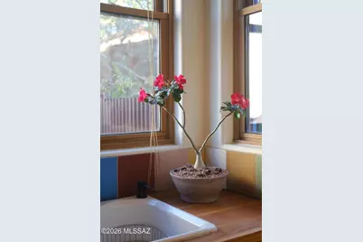 825 S Osborne Avenue, Tucson, AZ 85701 - Photo 32