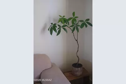 825 S Osborne Avenue, Tucson, AZ 85701 - Photo 12