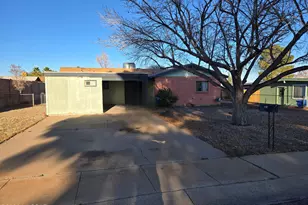 519 N Leonardo Di Vinci Dr, Sierra Vista, AZ 85635 - Photo 38