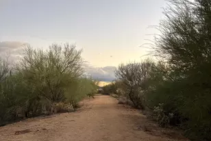 1356 N Via Alamos, Green Valley, AZ 85614 - Photo 28