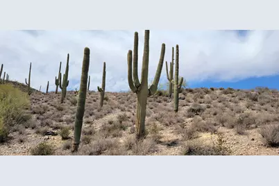 4790 El Adobe Ranch Road, Tucson, AZ 85745 - Photo 26