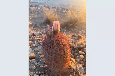 11640&amp;50 Lava Peak Road, Vail, AZ 85641 - Photo 32