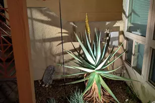 6255 N Camino Pimeria Alta, Tucson, AZ 85718 - Photo 38