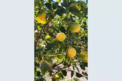 325 S Avenue A, San Manuel, AZ 85631 - Photo 30