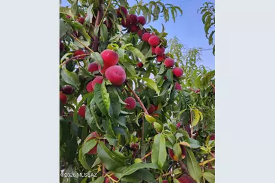 325 S Avenue A, San Manuel, AZ 85631 - Photo 32