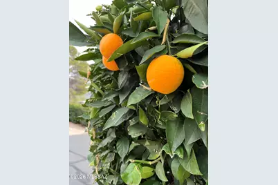 222 W Adirondack Street, Oro Valley, AZ 85737 - Photo 38