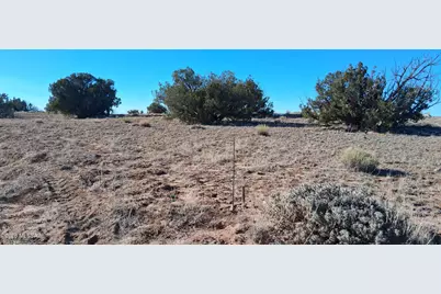 38 Acres 24 County Rd N6578 #857, Saint Johns, AZ 85936 - Photo 4