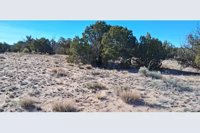 38 Acres 24 County Rd N6578 #857, Saint Johns, AZ 85936 - Photo 16